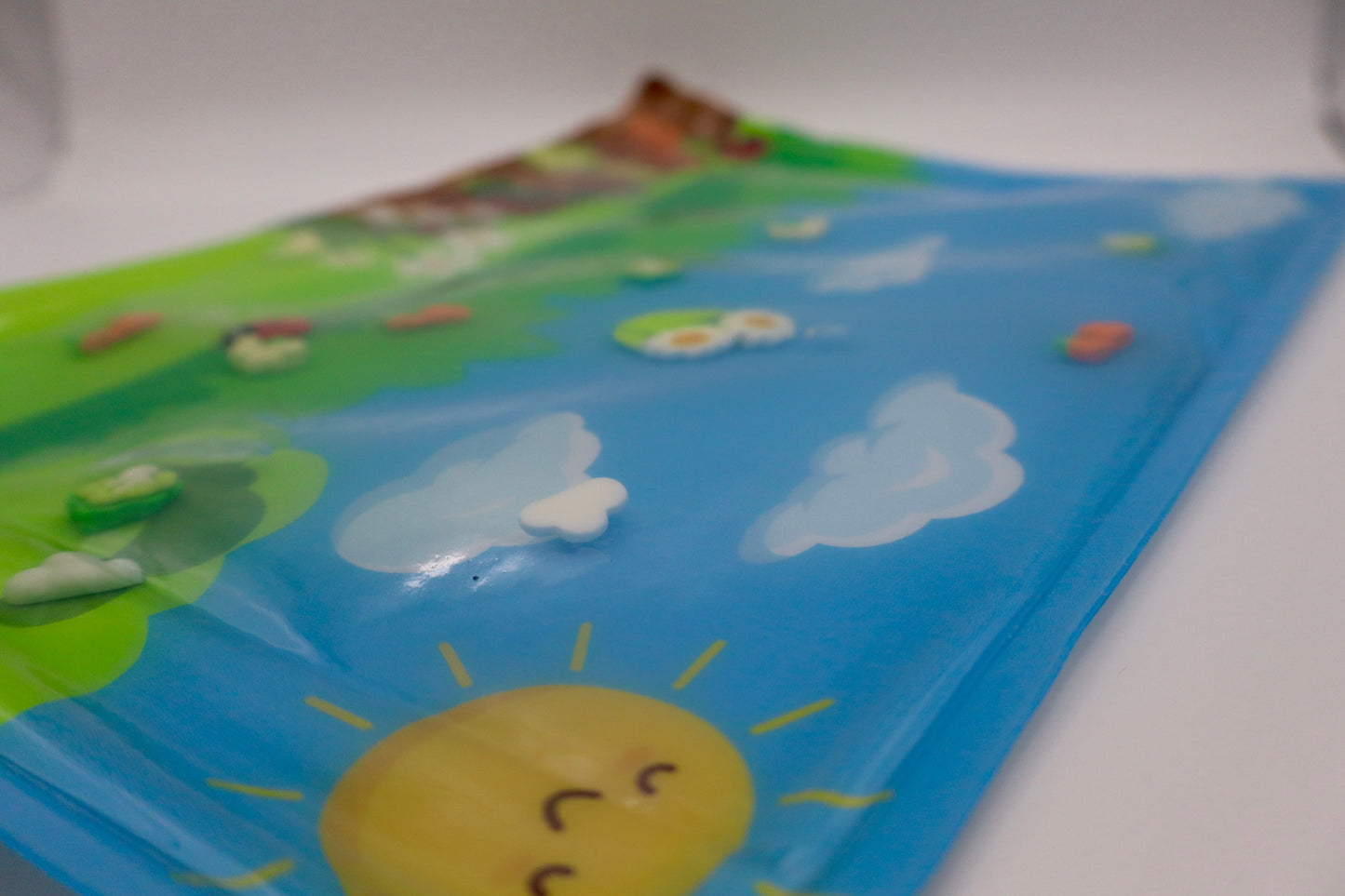 Veggie Patch A4 Sensory Water Activity Mat